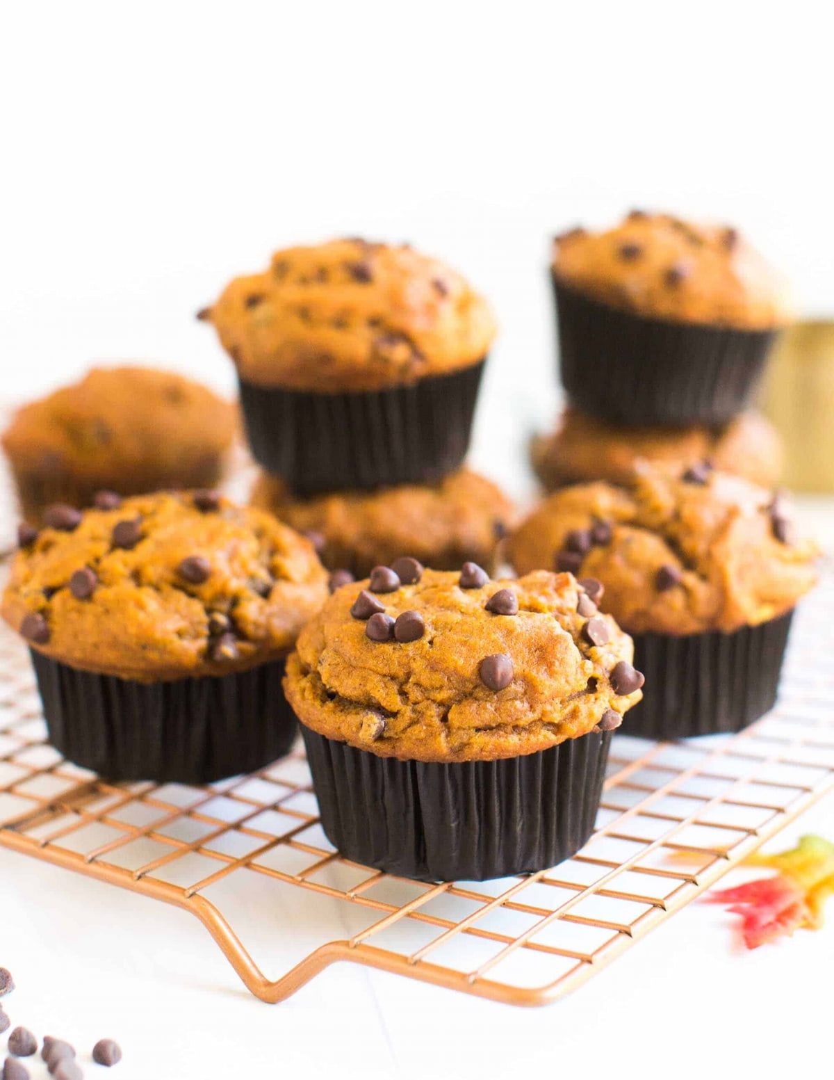 A copper cooling rack filled with vegan pumpkin chocolate chip muffins on a white countertop with a leaf.