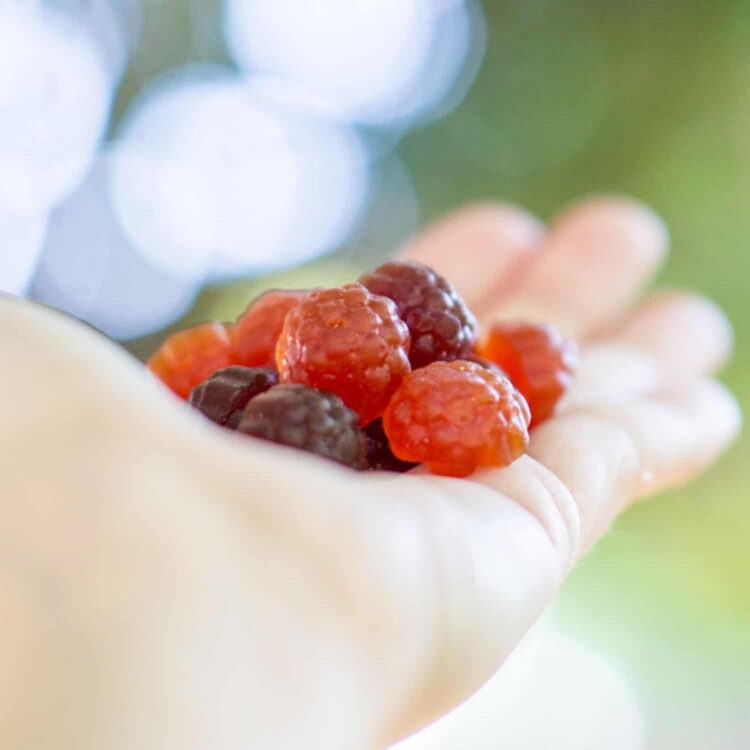 A hand holding gummy vitamins using vegan gelatin ingredients.