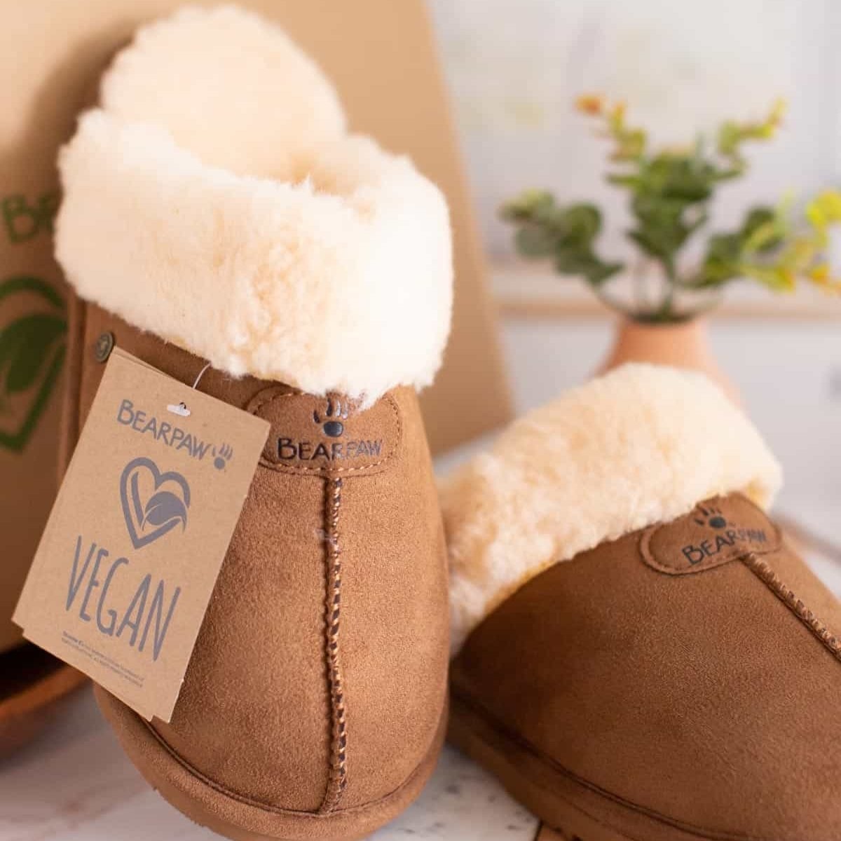 Vegan Slippers: Animal-Friendly Brands That Will Make Your Toes Smile