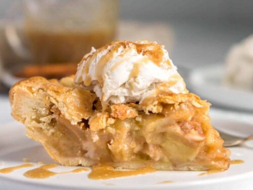 Best Vegan Apple Pie (Eggless & Dairy-Free) | World of Vegan