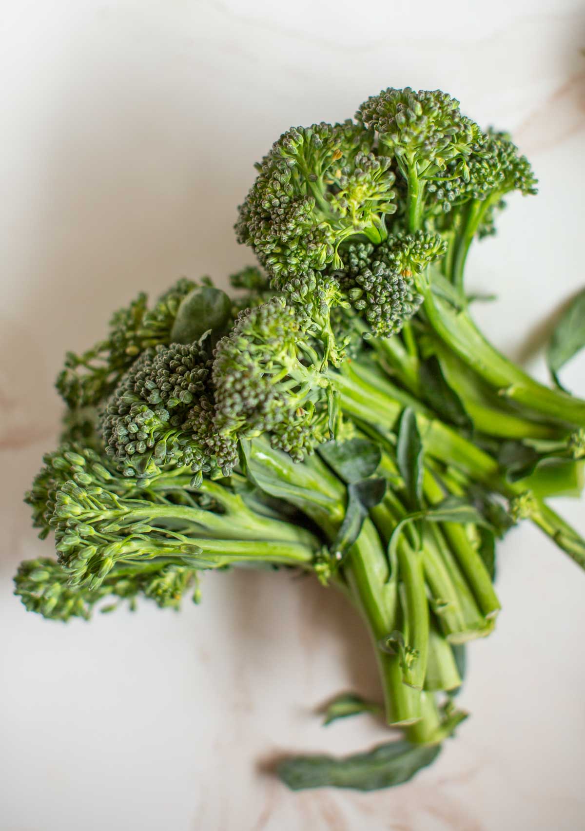 Broccoli for a yellow curry with tofu recipe.