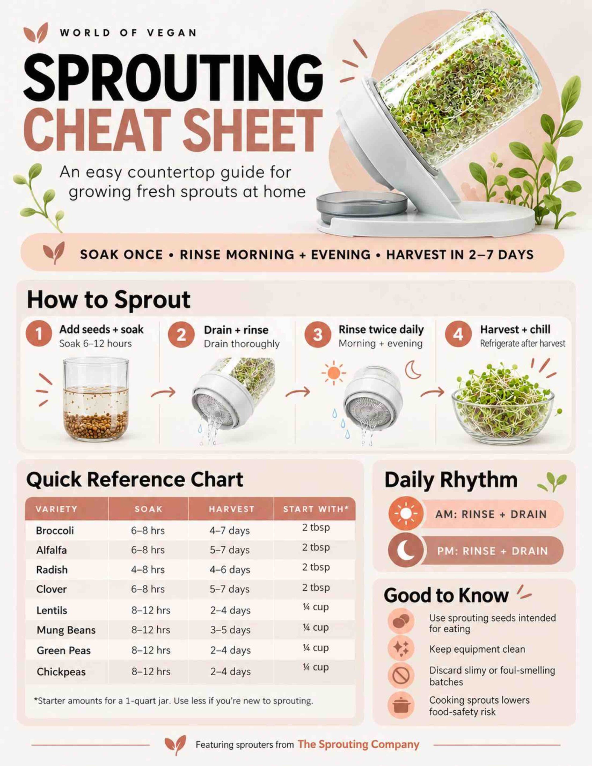 Printable guide showing how to growing sprouts.