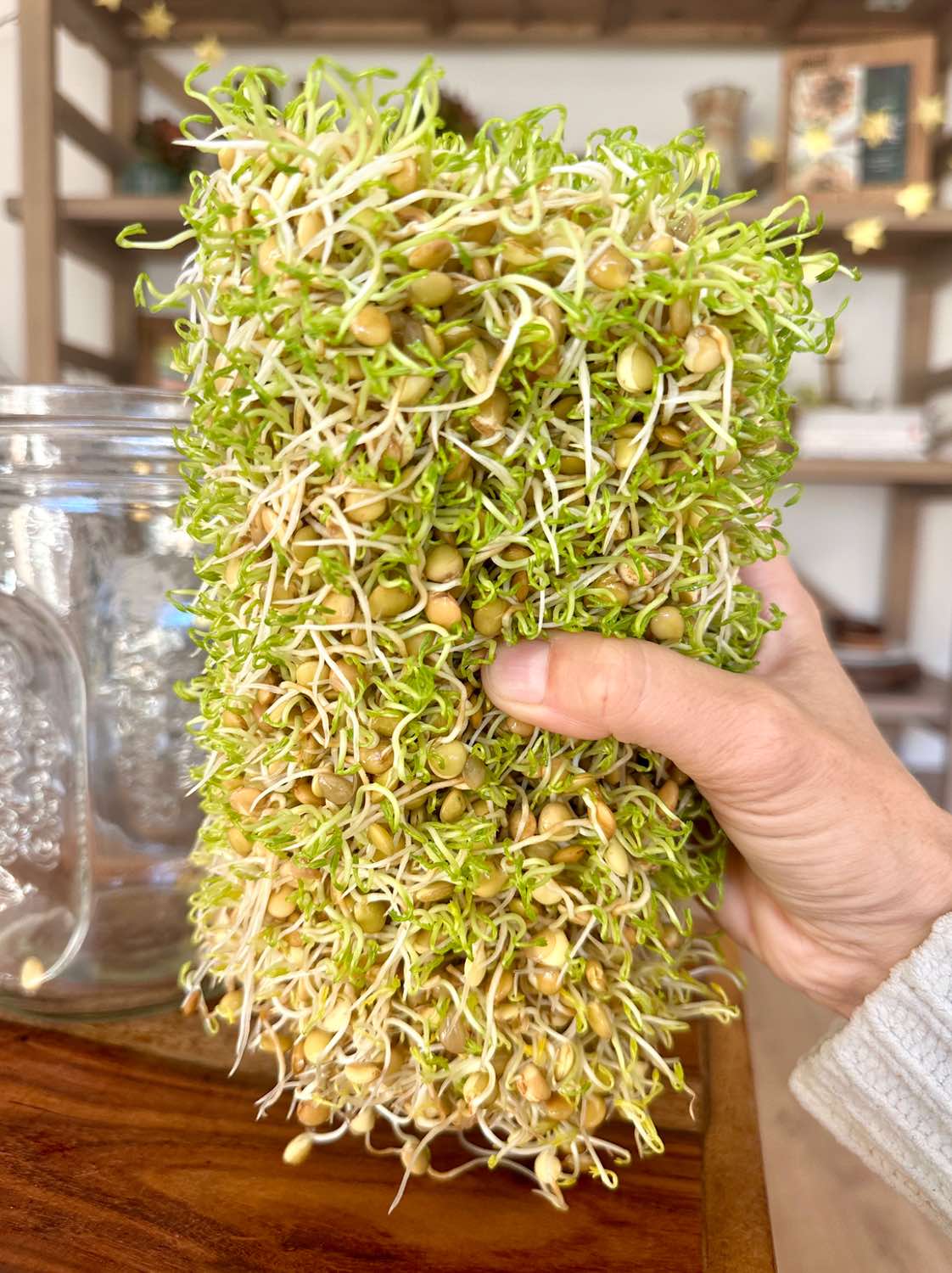 Holding out a big bunch of sprouts.