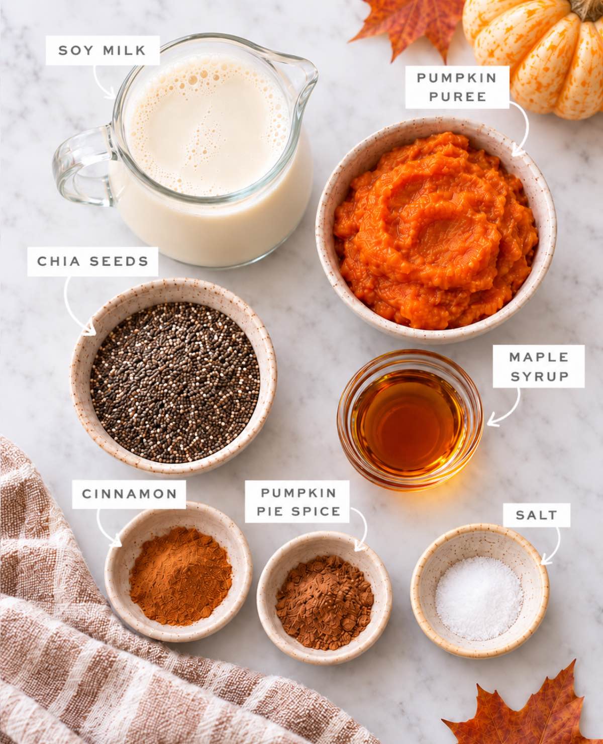 Flatlay of the ingredients in this cozy fall pumpkin pie spice chia pudding, including pumpkin puree, maple syrup, soymilk, pumpkin pie spice, cinnamon, salt, and chia seeds.